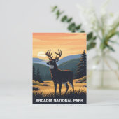 Carte Postale Le cerf dans le Parc national d'Arcadia (Debout devant)