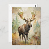 Carte Postale Le cerf dans une forêt (Devant / Derrière)