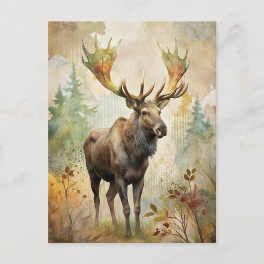 Carte Postale Le cerf dans une forêt (Devant)