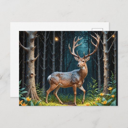 Carte Postale Le cerf dans une forêt illuminée par la Lune (Devant / Derrière)