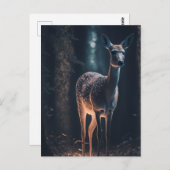 Carte Postale Le cerf dans une forêt magique (Devant / Derrière)