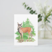 Carte Postale Le cerf d'aquarelle, la nature animale (Debout devant)