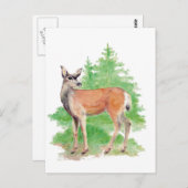 Carte Postale Le cerf d'aquarelle, la nature animale (Devant / Derrière)