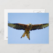 Carte Postale Le cerf-volant rouge (Devant / Derrière)