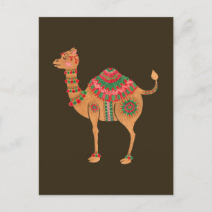 Carte Postale Le chameau ethnique
