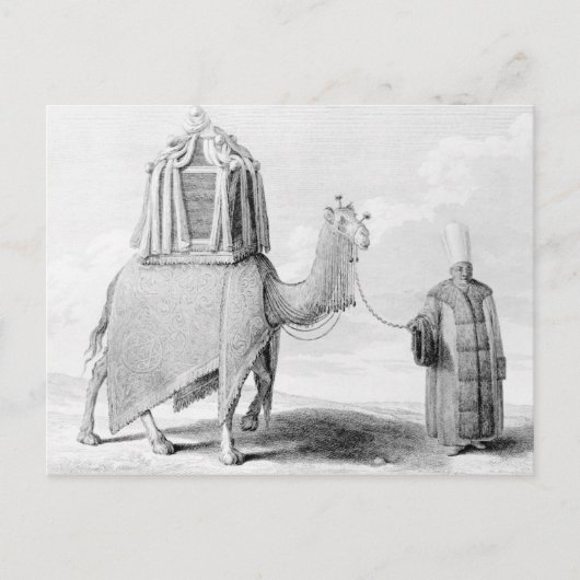 Carte Postale Le chameau sacré (Devant)