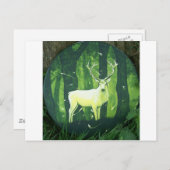 Carte Postale Le Charbon Blanc (Devant / Derrière)