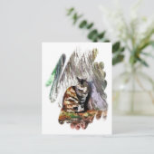 CARTE POSTALE LE CHAT (Debout devant)