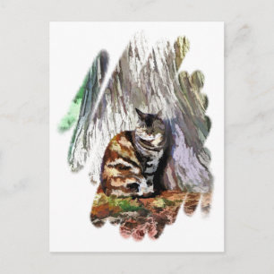 CARTE POSTALE LE CHAT