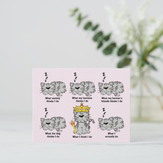 Carte Postale Le chat (Debout devant)