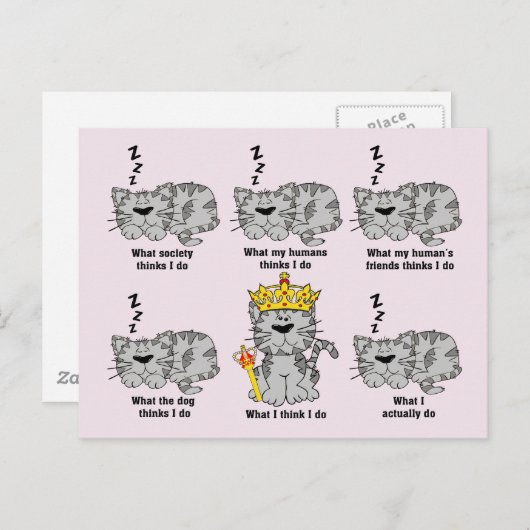 Carte Postale Le chat (Devant / Derrière)