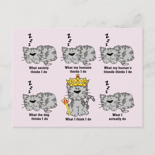 Carte Postale Le chat (Devant)