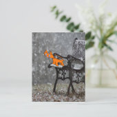 Carte Postale Le Chat Attrape Des Flacons De Neige Sur Son Tong (Debout devant)