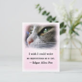 Carte Postale Le chat de Poe (Debout devant)