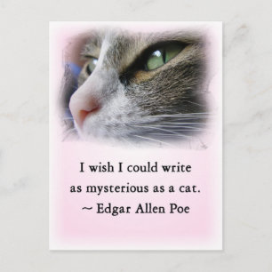 Carte Postale Le chat de Poe