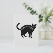 Carte Postale Le chat de Schrödinger (Debout devant)