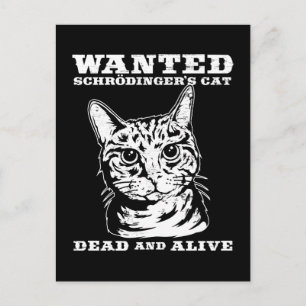 Carte Postale Le chat de Schrodinger voulait mort ou vivant