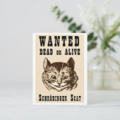 Carte Postale Le chat de Shrodinger voulait une affiche (Debout devant)