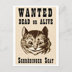 Carte Postale Le chat de Shrodinger voulait une affiche