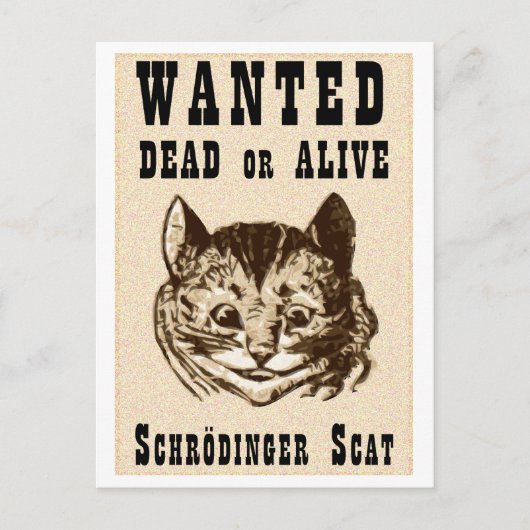 Carte Postale Le chat de Shrodinger voulait une affiche (Devant)