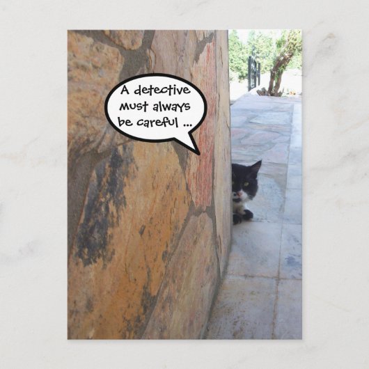Carte Postale LE CHAT DÉTECTIVE DERRIÈRE LE MUR DE PIERRE / La f (Devant)