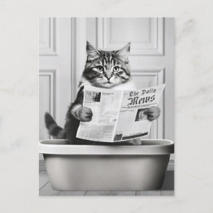 Carte Postale Le chat est assis sur les toilettes, le chat lit u