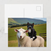 Carte Postale Le chat et le mouton - Felini's Country Ride (Devant / Derrière)