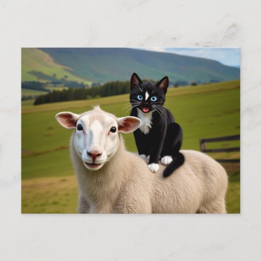 Carte Postale Le chat et le mouton - Felini's Country Ride (Devant)