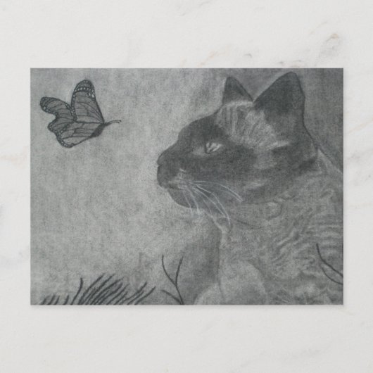 Carte Postale Le chat et le papillon (Devant)
