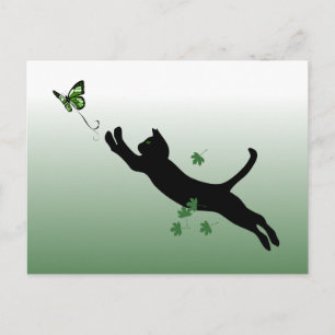 Carte Postale Le chat et le papillon