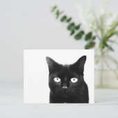 Carte Postale Le Chat Noir (Debout devant)