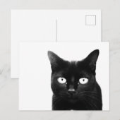 Carte Postale Le Chat Noir (Devant / Derrière)