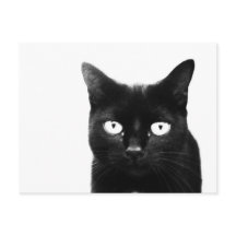 Le Chat Noir