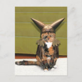 Carte Postale Le chat nordique n'est pas amusé (Devant)