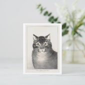 Carte Postale Le Chat Préféré (1838–48) Lithographie (Debout devant)