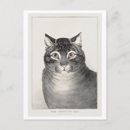 Carte Postale Le Chat Préféré (1838–48) Lithographie (Devant)