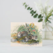 Carte Postale Le chat Wagati par Joseph Wolf (Debout devant)