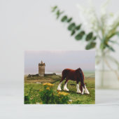 Carte Postale Le château de Clydesdale (Debout devant)