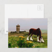 Carte Postale Le château de Clydesdale (Devant / Derrière)
