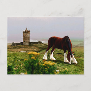 Carte Postale Le château de Clydesdale