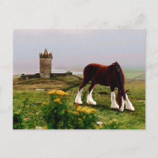 Carte Postale Le château de Clydesdale (Devant)