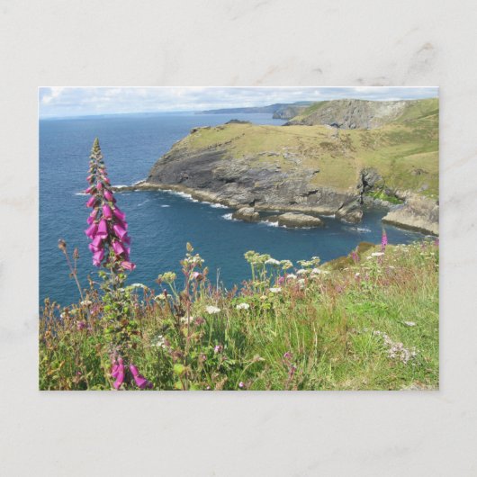 Carte Postale Le château de Tintagel (Devant)