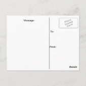 Carte Postale Le Château Laurier Ottawa (Dos)