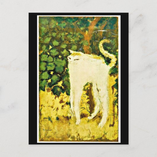 Carte Postale Le chaton blanc (Devant)