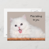Carte Postale Le chaton perse blanc vous manque (Devant / Derrière)