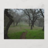 Carte Postale Le chemin (Devant)