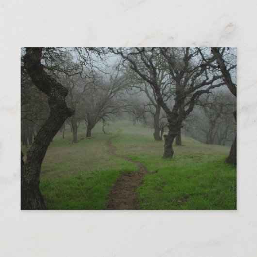 Carte Postale Le chemin (Devant)