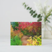 Carte Postale Le chemin d'automne (Debout devant)