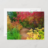 Carte Postale Le chemin d'automne (Devant / Derrière)