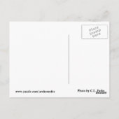 Carte Postale Le chemin de la beauté (Dos)